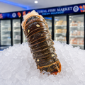 Cola de Langosta (variante)