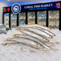 Sardina Congelada 3 lb