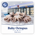 Pulpo pequeño