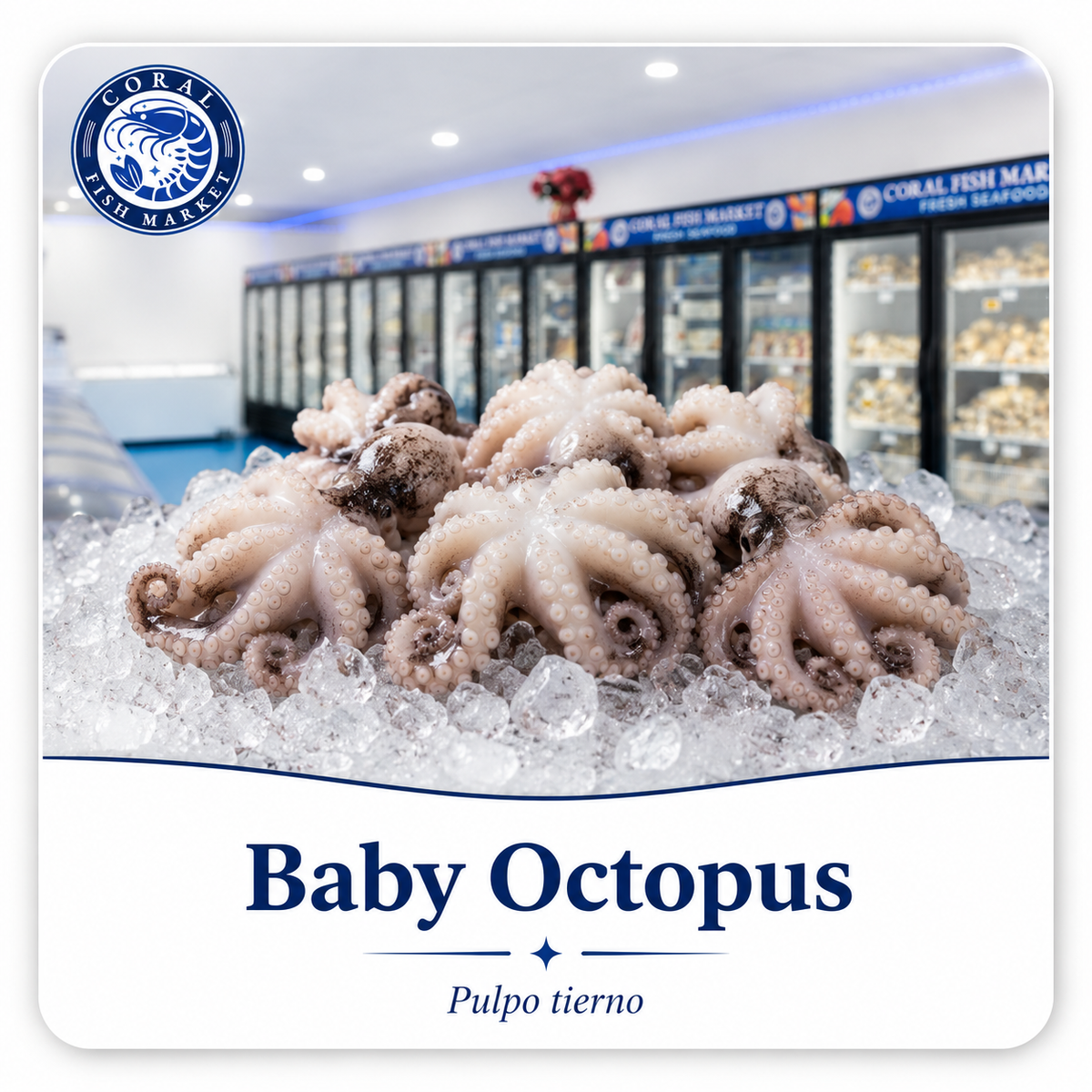 Pulpo pequeño
