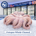 Pulpo entero limpio