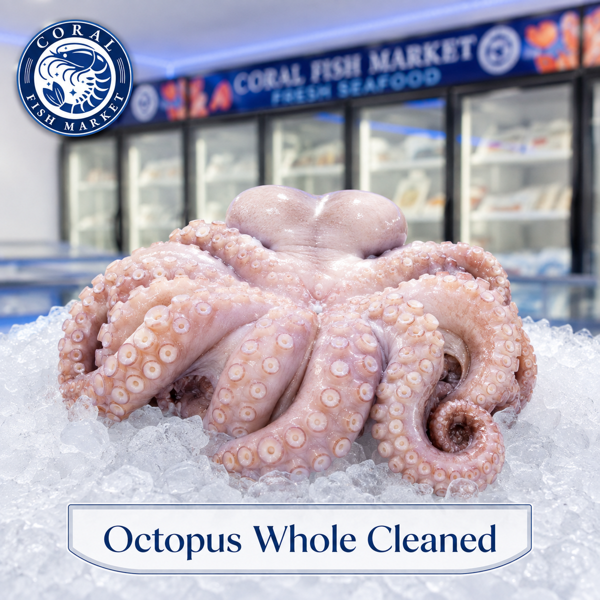 Pulpo entero limpio